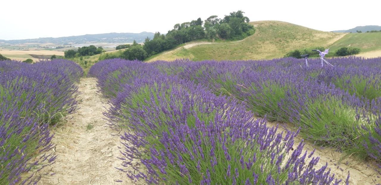 Marmigliaio La Casa Della Pieve Vecchia 아파트 외부 사진